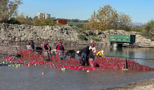 Soğuk suda ekmek mücadelesi