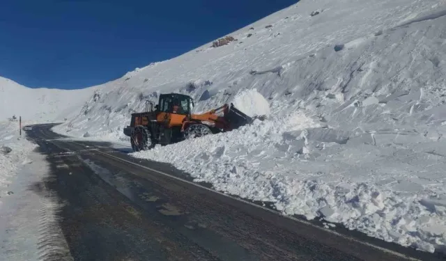 Çığ tehlikesi ve yoğun tipi nedeniyle kapatılan Bahçesaray-Hizan yolu ulaşıma açıldı