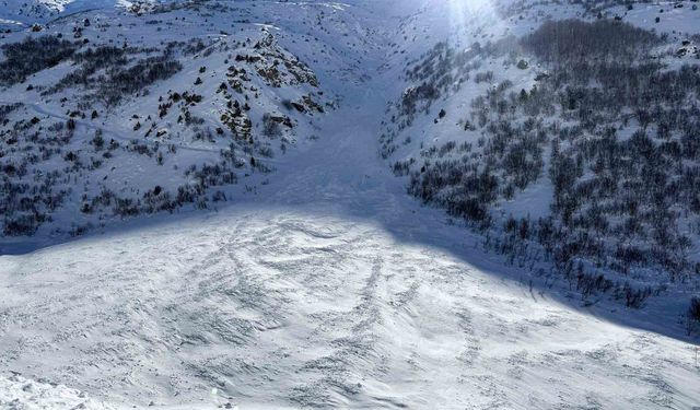 Van-Çatak yolu çığ nedeniyle 4 gündür ulaşıma kapalı