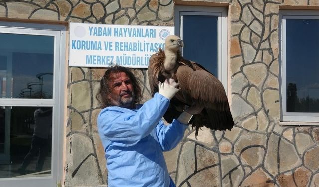 Van’da Uzmandan Uyarı: “Yaban Hayatına Müdahale Merhamet Değil, Tehlikedir”