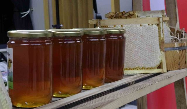 Ilgaz balı dünyanın en pahalı balı oldu