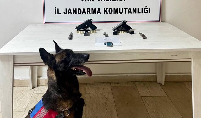 Van’da ruhsatsız tabanca operasyonu
