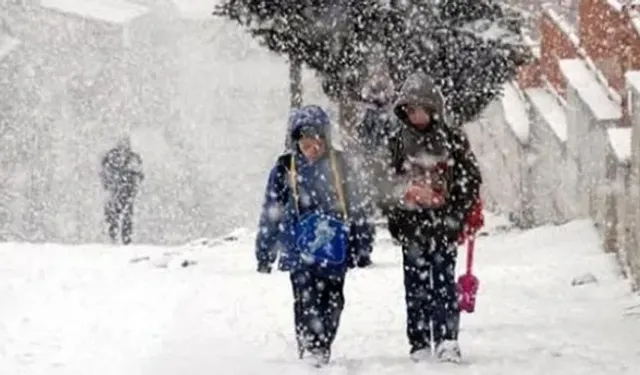 Van'ın Çatak İlçesinde Eğitime Kar Engeli