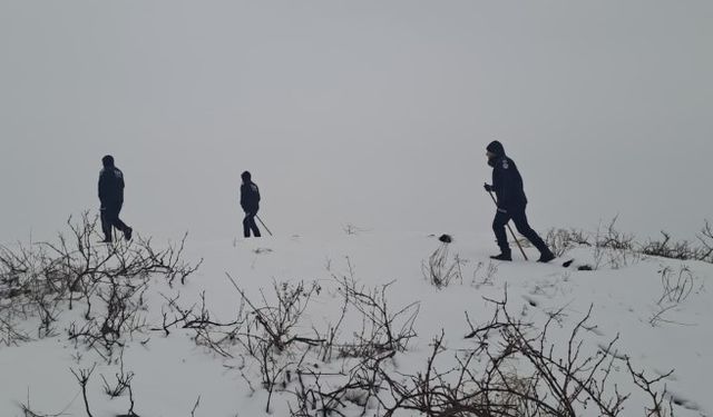 Diyarbakır’da kayıp kadın 480 kişilik ekiple aranıyor