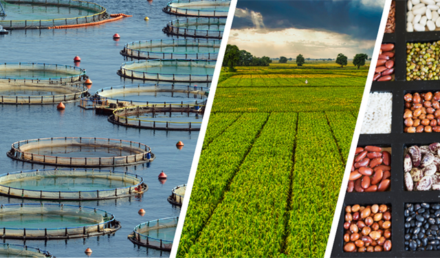 Çiftçiye 255 milyon liralık destekleme ödemesi