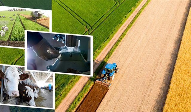 Çiftçilere yaklaşık 227 milyon liralık destek