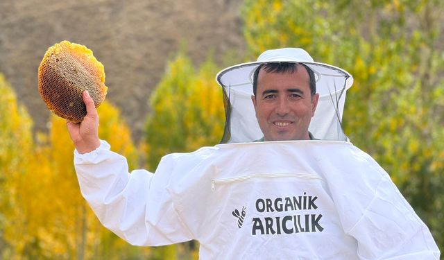 Soğuk Kış Günlerinde Doğanın Şifası: Bal