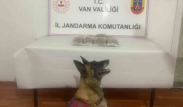 Van'da uyuşturucu operasyonu!