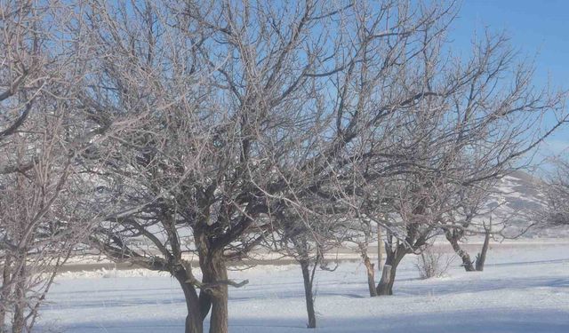 Van’da Sibirya soğukları etkili oluyor