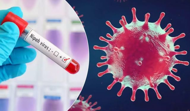 Profesör’den Nipah virüsü açıklaması