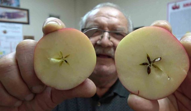 Taklitlerinden yıldız testiyle ayırt edilen lezzet: Misket Elma