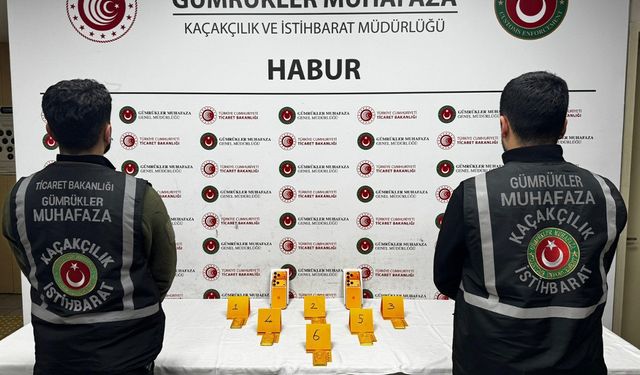 Habur’da ayakkabı içerisinde 41 kilo altın ele geçirildi