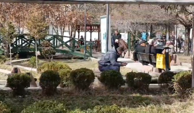 Van'da bahar havası