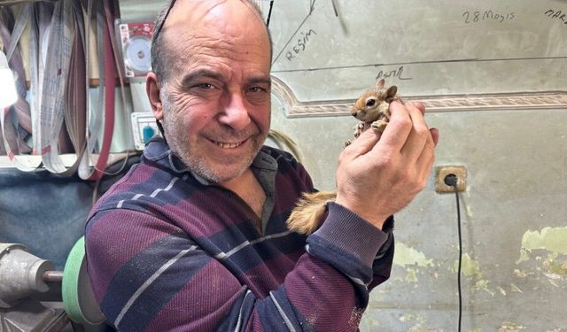 Bıçak Ustası ve Sincabının Dostluğu Görenleri Hayrete Düşürüyor