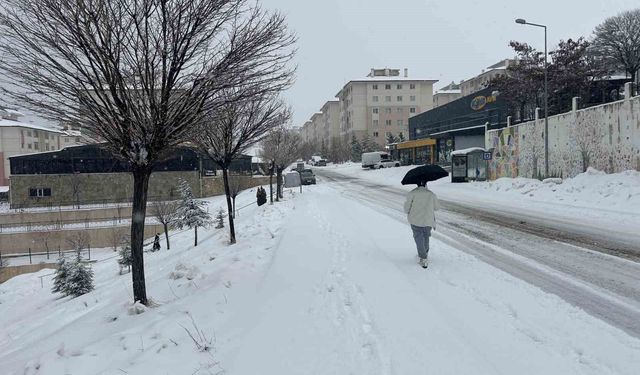 Van'da kar yağışı ulaşımı aksattı