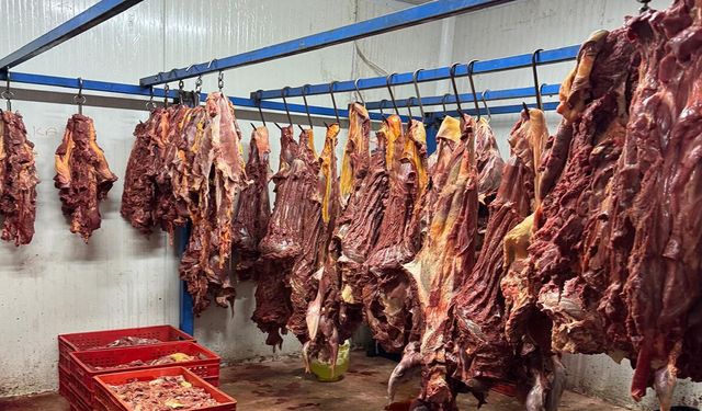 Bozulmuş Et Skandalı: 30 Şüpheli Gözaltına Alındı