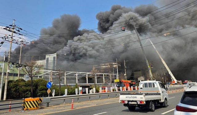 Güney Kore'de fabrikada patlama ve yangın: 14 ölü