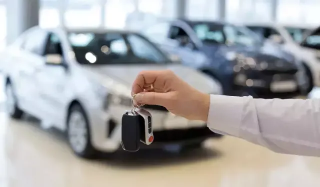 ARAÇ KİRALAMA HİZMETİ ALINACAKTIR