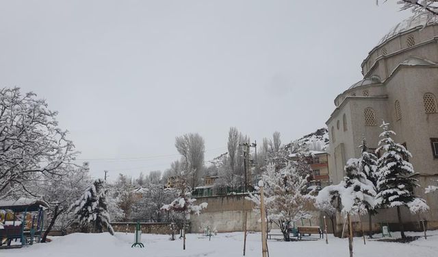 Başkale'de nisan ayında kar yağışı