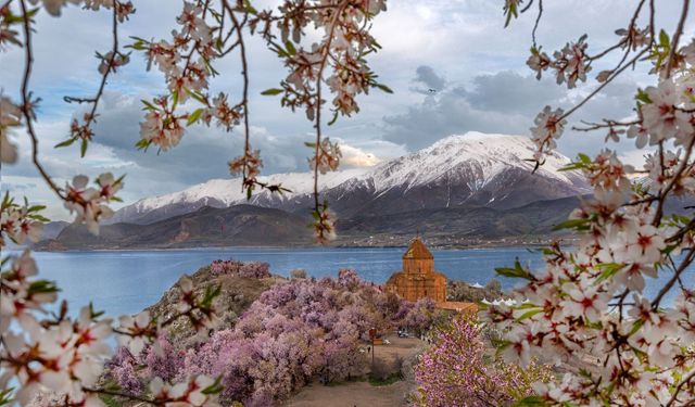 Van’da 4. Badem Çiçeği Festivali Başlıyor