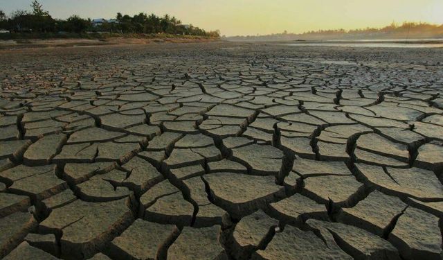 Erdem Güngör: ‘Yanlış Su Politikaları Gürpınar’ı Çölpınar’a Çevirecek’
