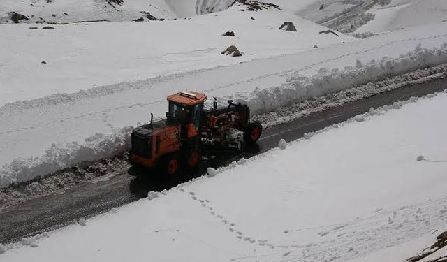 Bahçesaray-Hizan yolu yeniden ulaşıma açıldı