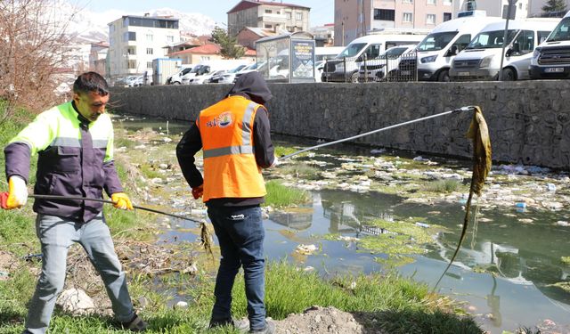 Van balığının göç yolu temizleniyor