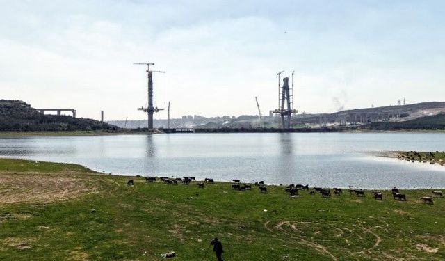 İstanbul’un Yeni Yüzü: Sazlıdere Köprüsü Yükselirken Keçiler Merada Otluyor