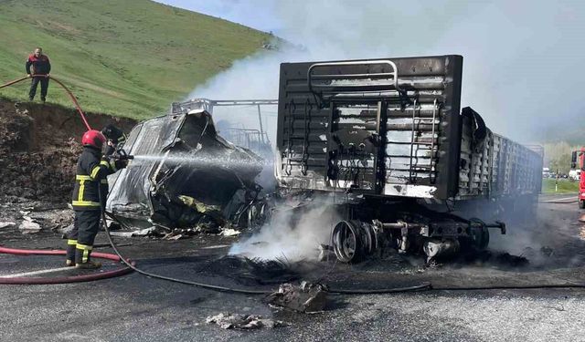Van-Tatvan karayolunda can pazarı: 2 tır alev topuna döndü, 2 ölü