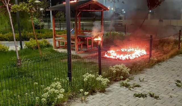 Van’da sokak magandaları parkları yakıyor