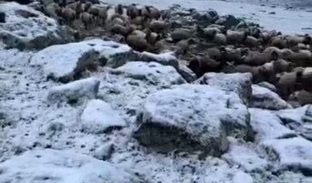 Kars’a kış geri döndü, eksi 5 derecede kar sürprizi