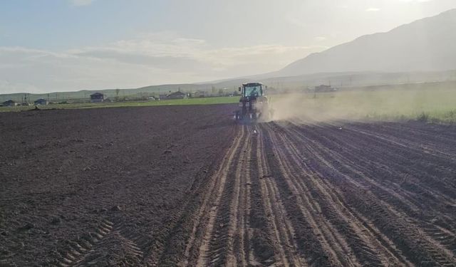 Adilcevaz'da şeker pancarı ekimi