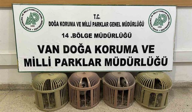 Van'da 4 Kınalı Keklikle Yakalanan Şahsa 51 Bin 878 TL Ceza