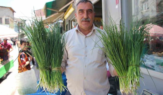 Van’da karın geç çözülmesi şifalı ot sezonunu uzattı