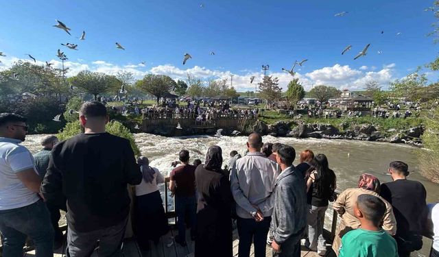 Dünyada Sadece Van’da Yaşıyor: İnci Kefalinin Zorlu Yolculuğu Sürüyor