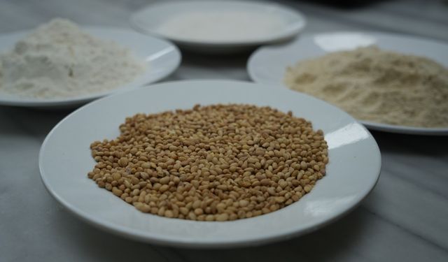 Halep kahkesi mesaisi başladı