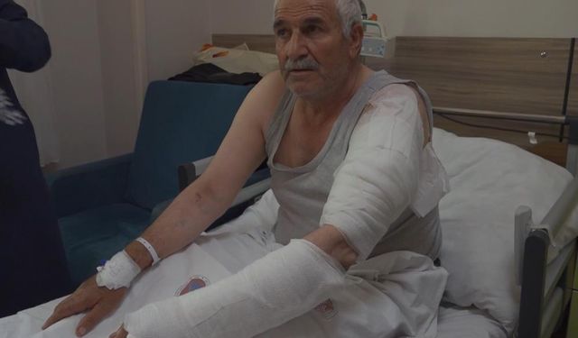 Van'da ot biçen vatandaş kurdun saldırısına uğradı