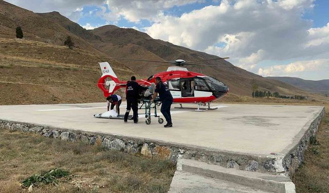 Serebrovasküler hasta ambulans helikopterle Van’a sevk edildi