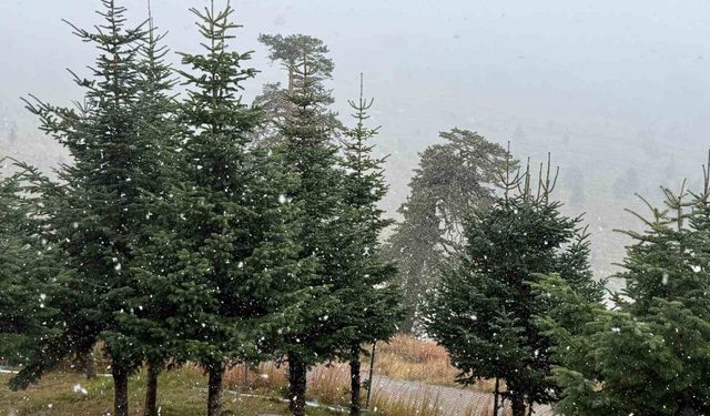 Bolu’da soğuklar etkili oldu; mevsimin ilk karı yağdı