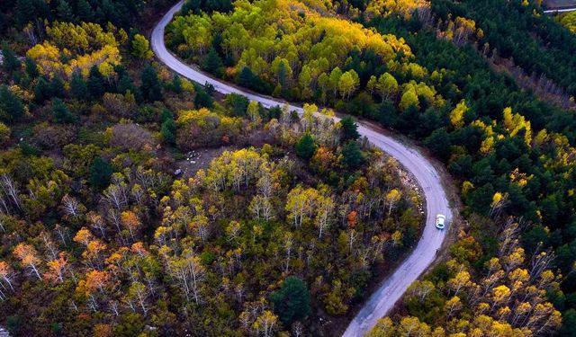 Gümüşhane Sonbaharda Büyülüyor: Alpler’i Andıran Manzaralar