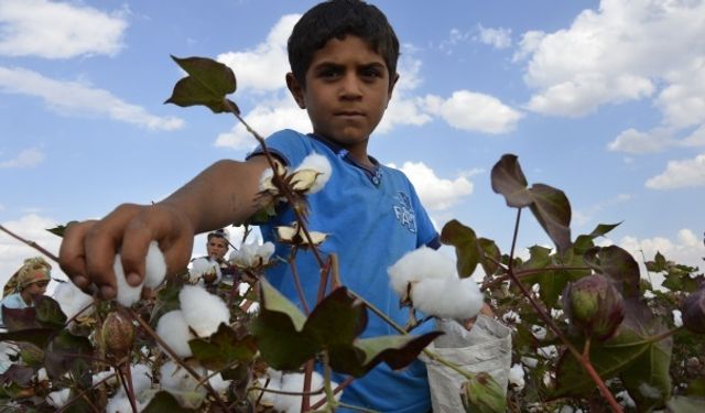 Mevsimlik tarım işçisi ailelerin çocuklarına kesintisiz eğitim desteği