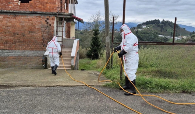 Kahverengi kokarcaya karşı 1 milyondan fazla hane ilaçlandı