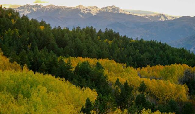Gümüşhane'nin Alpleri aratmayan sonbahar güzelliği