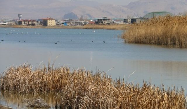 Van-Edremit Sazlıkları’nda balık avı, mangal ve ateş yakmak yasaklandı