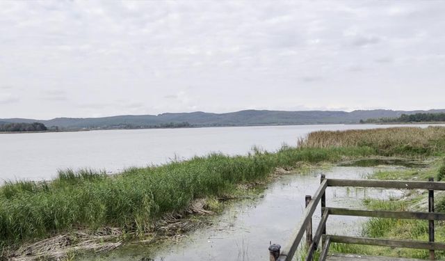 "Sakarya Gölü Alarm Veriyor: Su Seviyesi Dramatik Şekilde Azaldı"