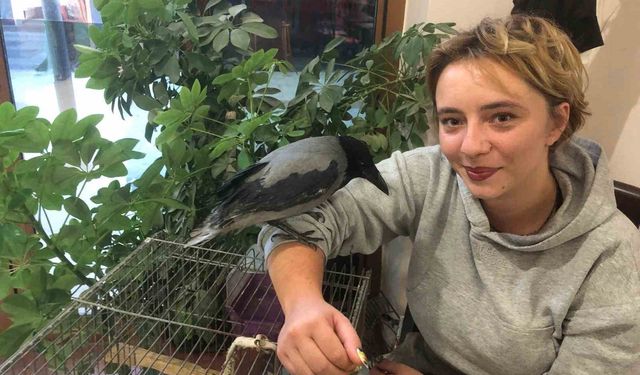 Geceleri Kafeste, Gündüzleri Kahvehanede!