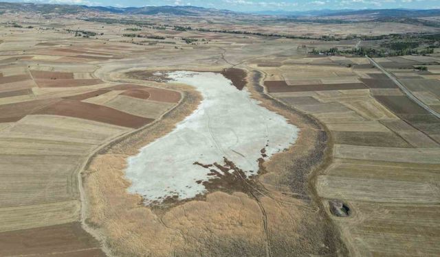 Kuşların dans ettiği gölet kuraklık nedeniyle çorak zemine dönüştü