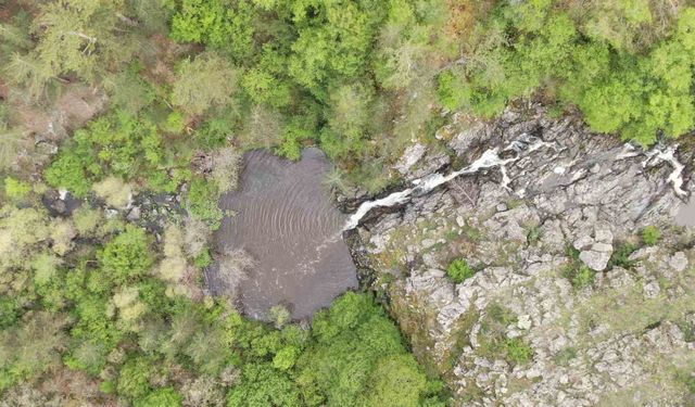 Ormanın içerisinden akan şelale görenleri mest ediyor