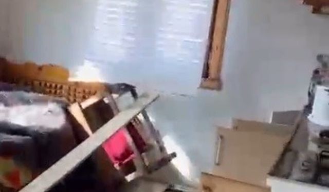 Rize’de Ayılar, Yaylalarda 20 Evi Talan Ederek Zarar Verdi