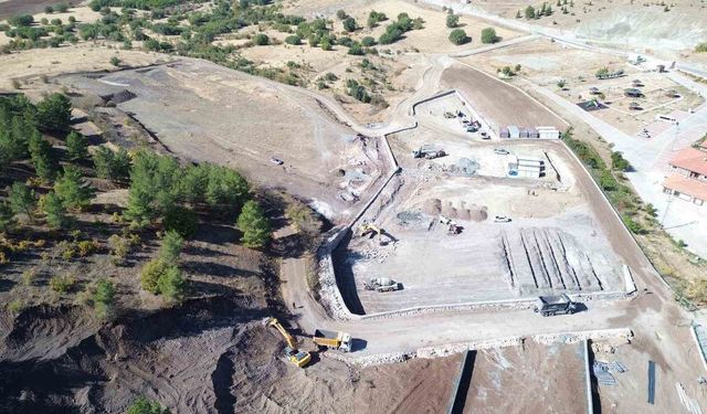 Sokak hayvanları için örnek tesis